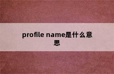 profile name是什么意思